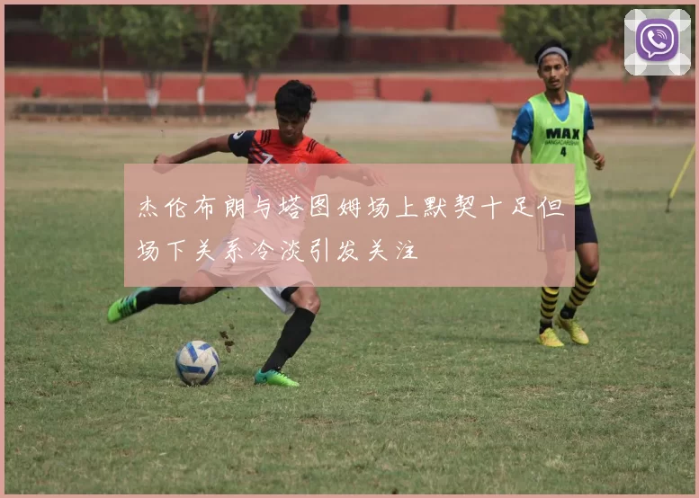 杰伦布朗与塔图姆场上默契十足但场下关系冷淡引发关注